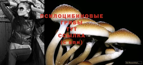 марихуана Алзамай
